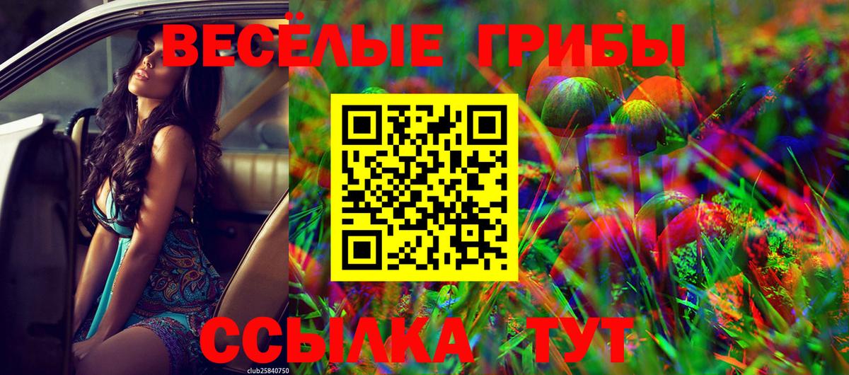 Галлюциногенные грибы Cubensis Майский