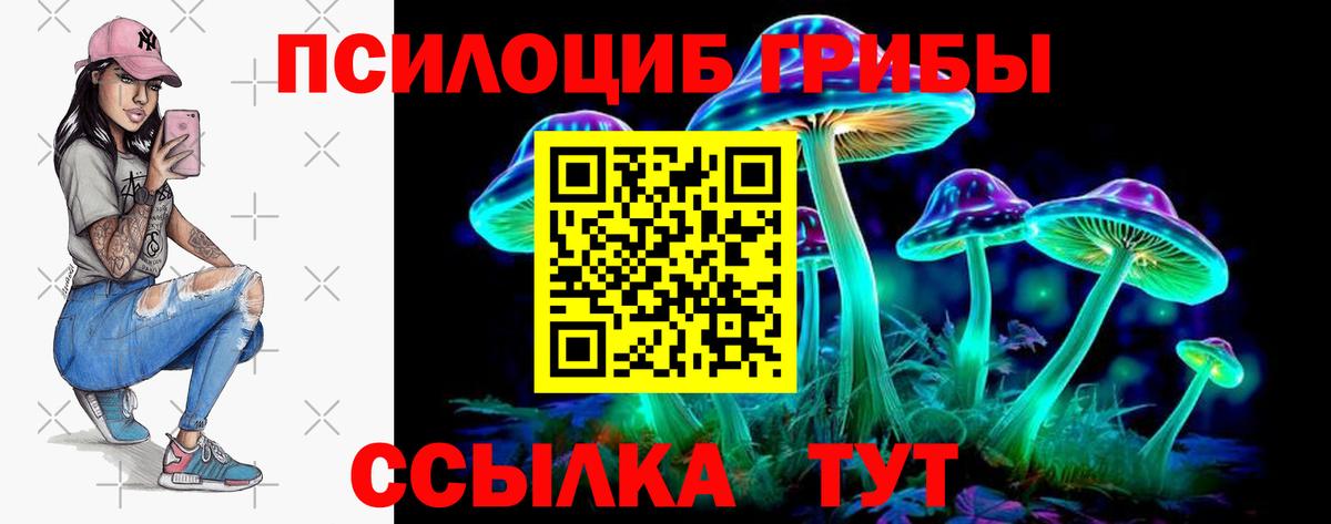 Майский  Псилоцибиновые грибы Cubensis  Вход с VPN 